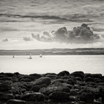 Sailing (square format)