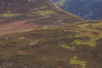 British Fell Relay-673