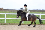 SBM_006786