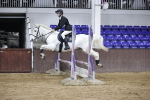 SBM_002073