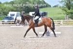 BPP_0335