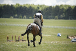 BVHT 140517  IXC -816