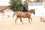 SBM_16421