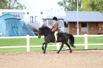 SBM_00378