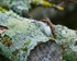 20111120-_MG_7655