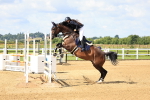 SBM_003321