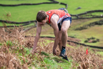 Wasdale Show-85