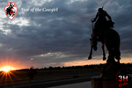 Year of the Cowgirl Poster1_3HR16871
