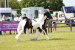 SBM_04160