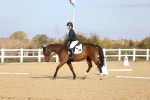 SBM_009189
