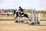 SBM_006247