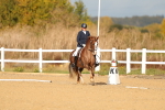 SBM_009294