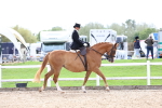 SBM_03382