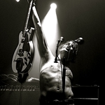 The Dandy Warhols