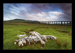 Ribblehead