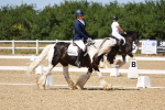 SBM_011831