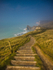 Jurassic Steps