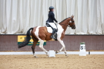 SBM_006008