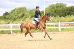 SBM_006253