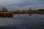 Autumn Reflections