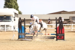 SBM_001328
