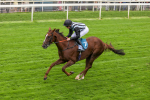 230923-Race 2-Palamon-5254