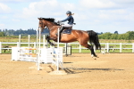 SBM_003013