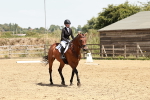 SBM_003559