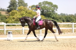 SBM_004059