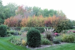 Autumn Garden