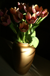 Flowers Set 13 - 05