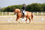 SBM_008073