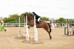 SBM_004929