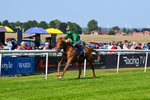 230626-Race 5-Percys Daydream-1483