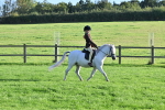 S23 - First Ridden Mountain & Moorland Pony portfolio