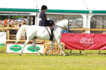 SBM_13128