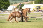 SBM_09767
