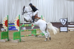 SBM_001582