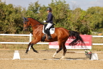 SBM_007502
