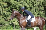 169-DHI_HOUDINI-Sophie_Hodgson-WEDTrotUp+DR portfolio