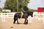 SBM_03384