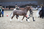 SBM_006401