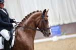 SBM_006677