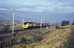 1st March 2011