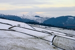 Shutlingsloe from Buxton Old Road (3)