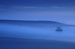 Blue Mist