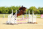 SBM_000471