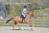 BPP_2819