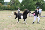 WJ6_5534