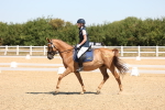 SBM_001235